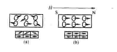 物质磁化示意图